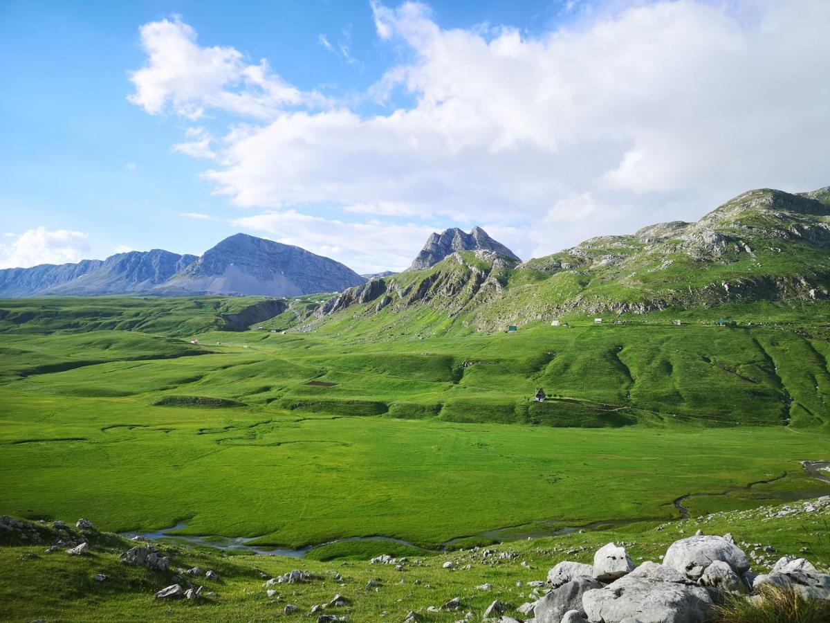 Rural Household Minic - Kapetanovo Jezero Vandrehjem Kolašin Eksteriør billede