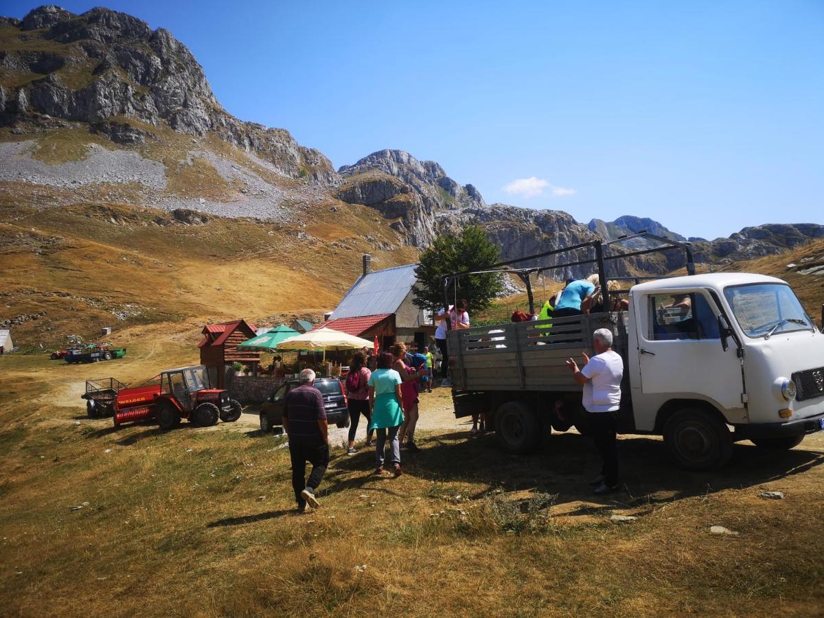 Rural Household Minic - Kapetanovo Jezero Vandrehjem Kolašin Eksteriør billede